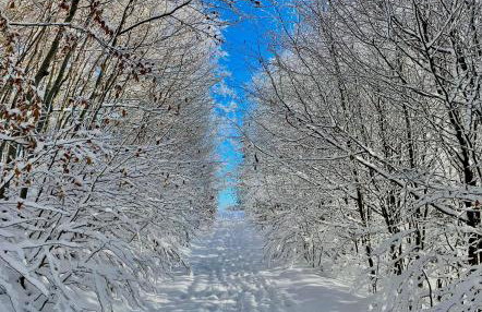 Żaroowka Slow House - Foto 38