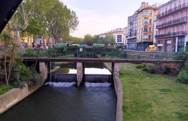 Le balcon de la basse centre ville de Perpignan - Foto 3