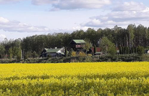 Dom nad stawem przy lesie - Foto 50