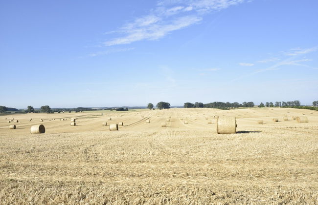 Einladender Bungalow in Kropelin mit Terrasse - Foto 27