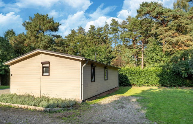 Peaceful Nature Escape in Meijel - Photo 43