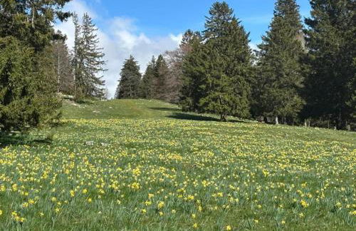 Nice Bungalow in Hallschlag Near the Lakebeach - Foto 136