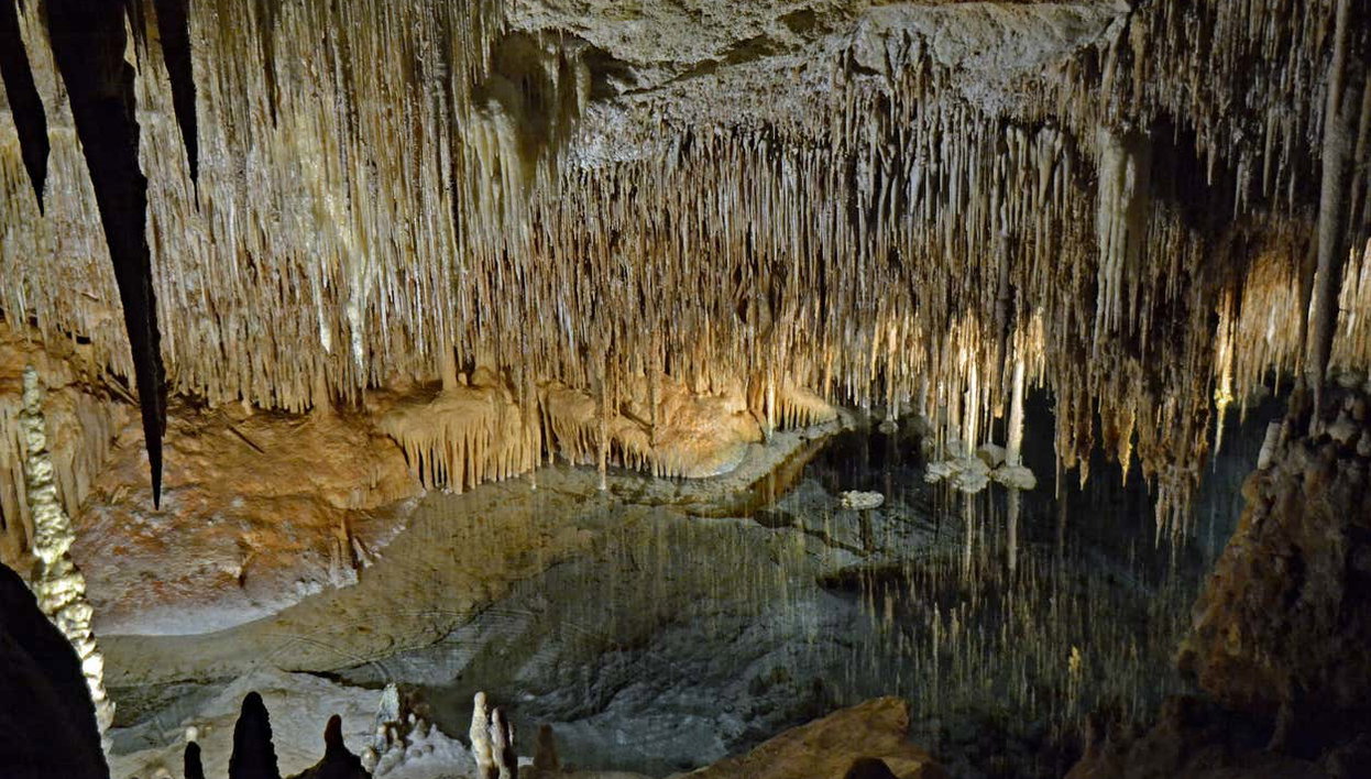 Excursión a las cuevas del Drach de día completo desde el sur de Mallorca - Foto 2, Detalle de las cuevas del Drach