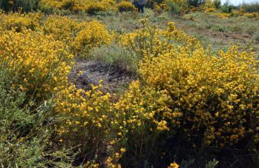 Casa do Chefe - Foto 56