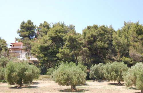 Posidi Studios - Foto 10