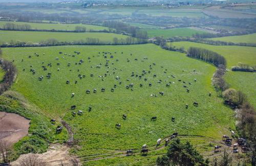 4 Bed in St. Endellion oc-t30725 - Foto 24