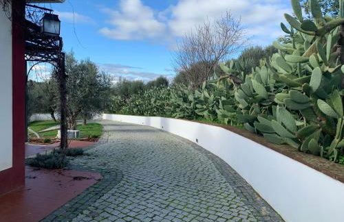 Quinta da Asneira - Foto 45