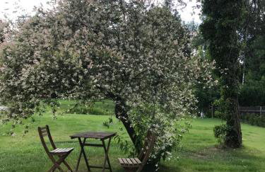 Mazurska Zagroda - Żabi Rechot - dom - stodoła - jacuzi-sauna - Photo 20