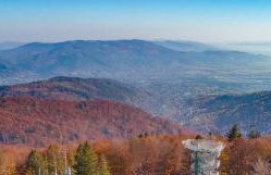 Apartamenty pod Dębami - Photo 48