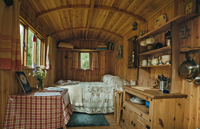 Cosy Woodland off Grid Shepherds Hut - Rowan - Foto 4