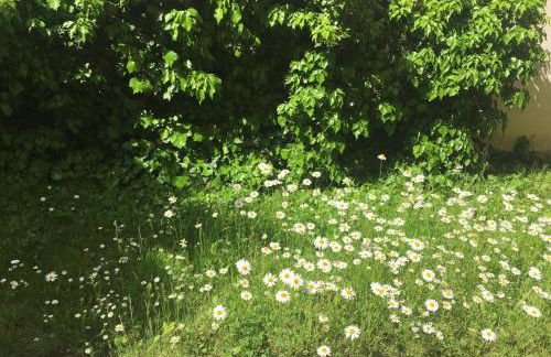 Magic Forest Design Apartment, 65 Zoll TV, Waschtrockner, beste Lage, am Markt - Foto 34