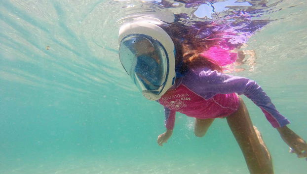 Snorkeling alla spiaggia di Sepultura + Bombinhas - Foto 2