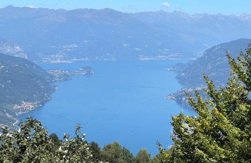 La coccinella - Foto 19