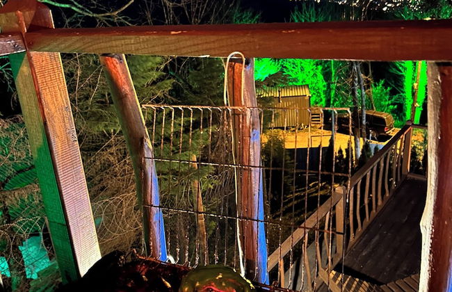 KAYIP ORMAN DAĞ EVLERİ - Foto 11