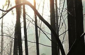 Romantische Zeitreise in historischer Käserei - Foto 40