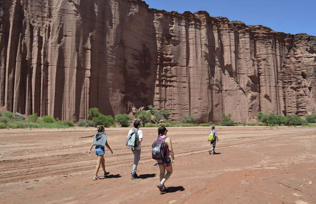Talampaya Canyon or Don Eduardo Gorge Hiking Tour - Foto 4
