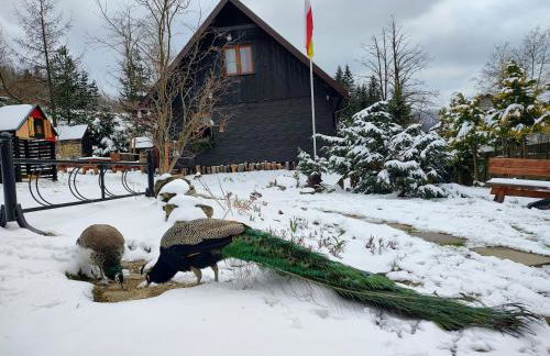 Beskidzka Ostoja - Foto 29