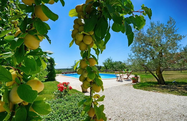 Villa Benka With View - Foto 39