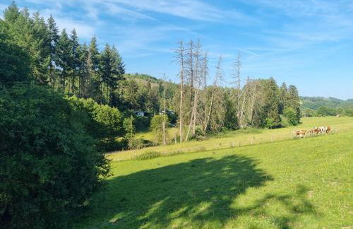 Explorer's Lodge & Camping - Foto 42