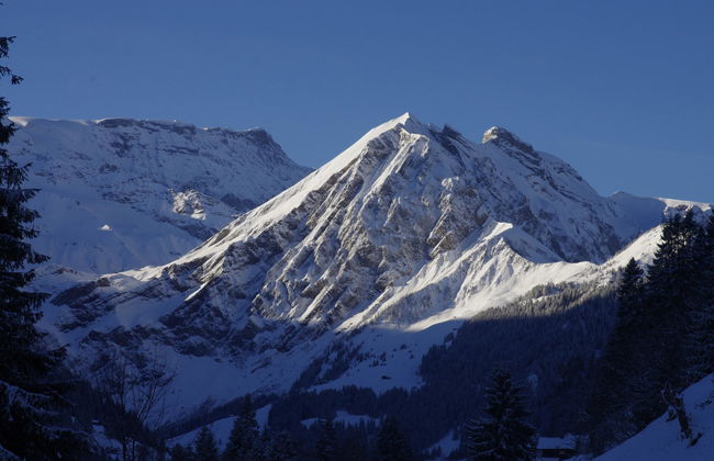 Anno Domini - Foto 5