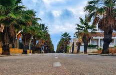 Akunamatata - Photo 17