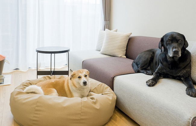 Rakuten STAY VILLA Yatsugatake - Foto 14