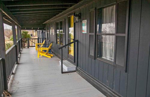 Purple Parrot - Foto 20