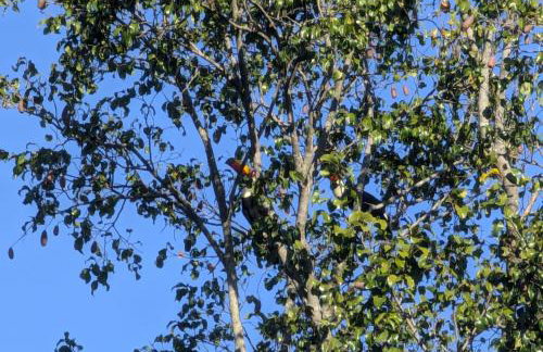 Casinha Charmosa & Rústica - Foto 34