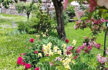 Appartamento Zeli e Old Alagna - Foto 27