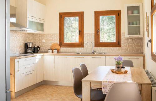 Artemis Pelion Escape - Foto 14