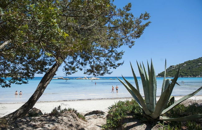 Residence Moby Dick - Foto 25