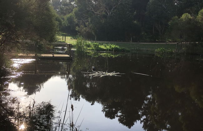 Bells Estate Great Ocean Road Cottages - Foto 44