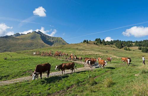 Edelweiss, Studio 5 pers, balcon sud est, vue sur les montagnes - Foto 39