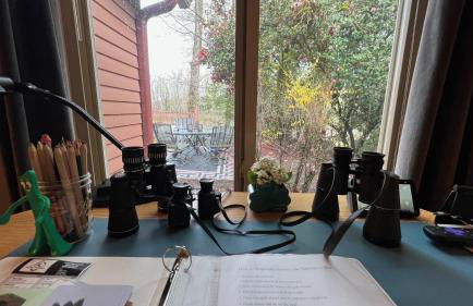 Blue Heron Sanctuary & Serene, river-front cottage - Foto 32