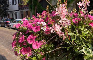 Au pied des vignes - Foto 37