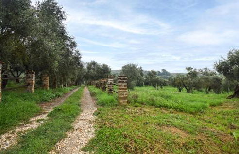 3 Bedroom Cozy Home In Vignanello - Foto 19