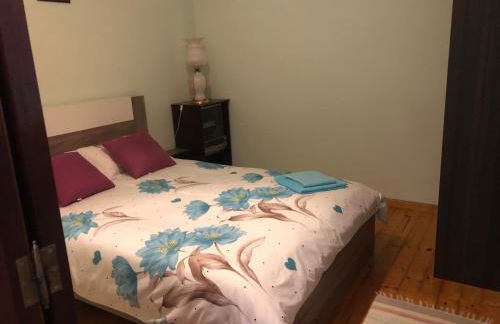 Quinta da Fervença, private river place to relax.. - Foto 15