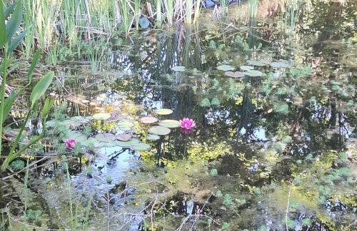 Le Hameau Secret - Foto 59