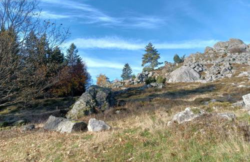 Schones Ferienhaus mit Grossem Garten bei Stadlern - Foto 70