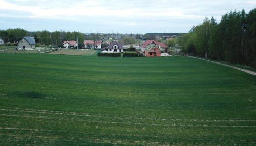 Dom Wakacyjny Quattro Niesulice - Foto 3