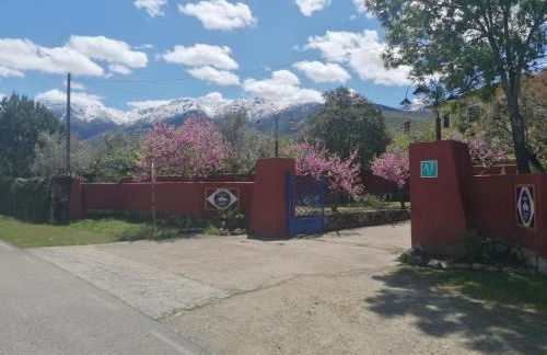 Aldea Vetonia Alojamientos con Encanto Parque de Mascotas-NO SE ACEPTAN EN JULIO Y AGOSTO- Varias zonas infantiles y deportivas "encuentranos y reserva para verano" - Foto 23