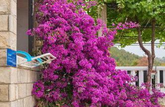 Apartments Hansal - Photo 39