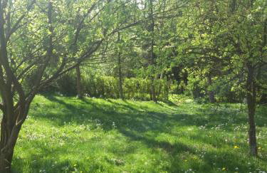 Domek u Piotra koło Szczyrku - Foto 10