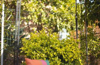 La casa nel castello e il giardino segreto - Photo 57