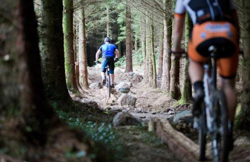 Blessingbourne Cottages & Apartments - Foto 128