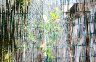 Casa Rodrigues - Foto 20