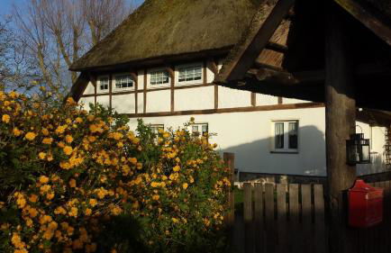 Gemütliche Ferienwohnung unterm Reetdach - Foto 1