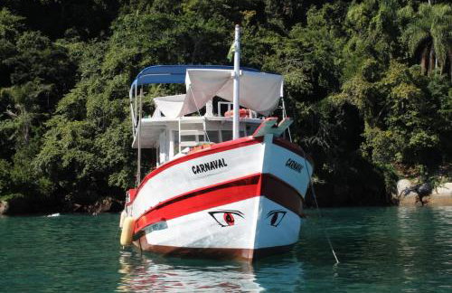 Carnaval Boat Tour - Photo 8