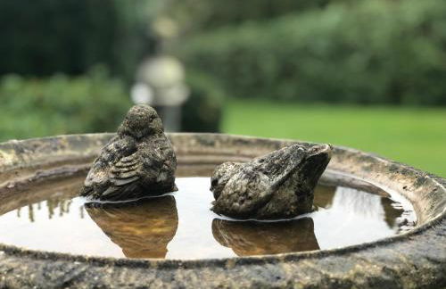 Ferienwohnung Südel - Foto 20