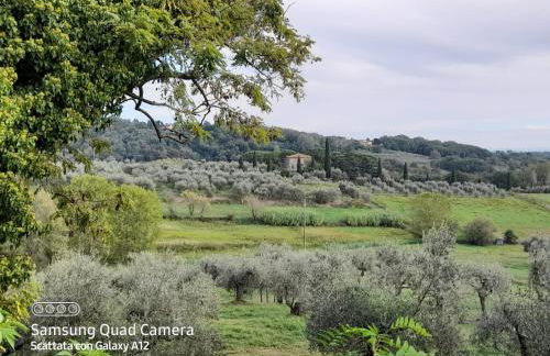 LA CASA DI DEBBY parcheggio wi-fi , aria condizionata gratuiti - Foto 42